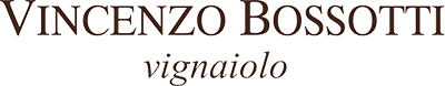 Vincenzo Bossotti